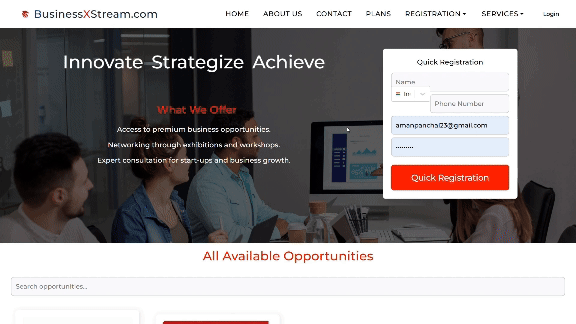 BusinessXstream portfolio image